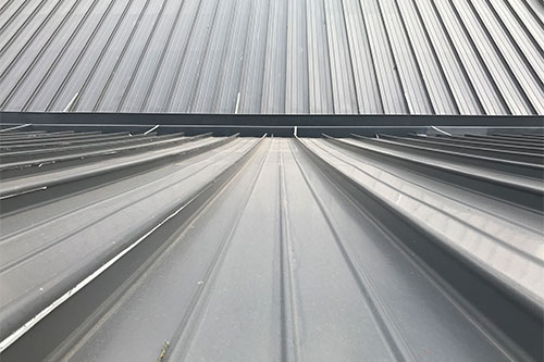 教育類項(xiàng)目&mdash;&mdash;東華大學(xué)屋面